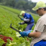 Agricultorii din Republica Moldova pot depune cereri pentru a primi motorină donată de România ~ InfoPrut
