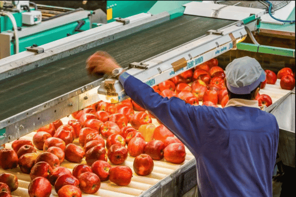 O companie elveţiană va investi în construcţia unei fabrici la Ştefan Vodă ~ InfoPrut