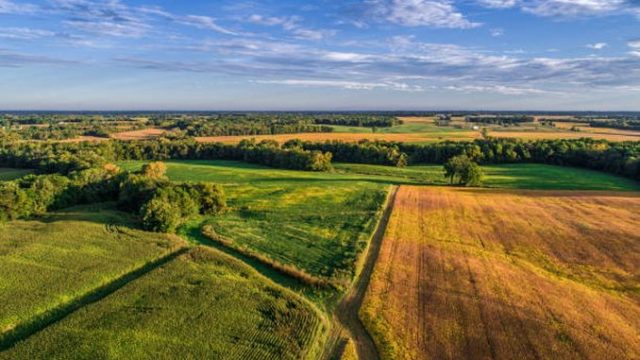 ULTIMA ORĂ! OUG aprobată pentru terenurile agricole degradate. Executivul a adoptat decizia!