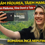 buzoianu scanner padure lemn