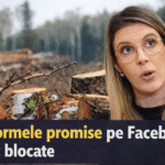 diana buzoianu reforme scandal romsilva director