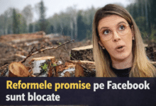 diana buzoianu reforme scandal romsilva director