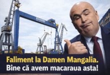 faliment damen bolojan naval