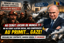 mineri bolojan guvern locuri de munca ce oltenia