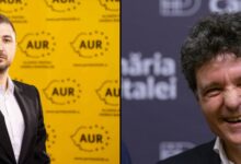adrian axinia nicusor dan