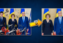 oana gheorghiu nicusor dan ilie bolojan
