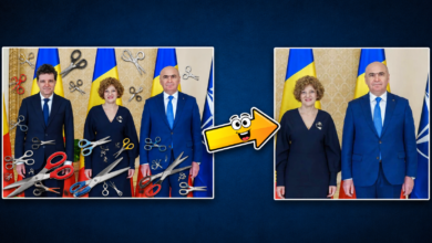 oana gheorghiu nicusor dan ilie bolojan