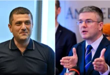 radu miruta irineu darau