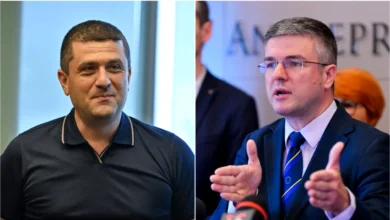radu miruta irineu darau