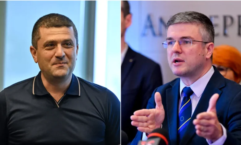 radu miruta irineu darau