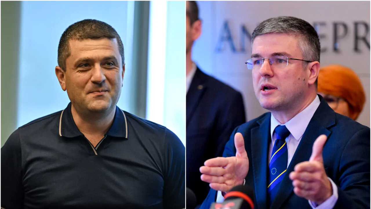 radu miruta irineu darau