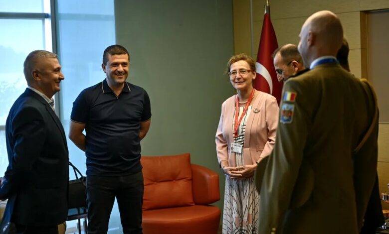 radu miruta romania nato