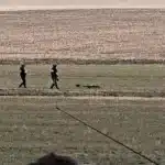Apel la 112 după ce o dronă militară s-ar fi prăbușit la Robeasca