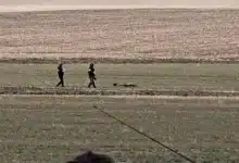 Apel la 112 după ce o dronă militară s-ar fi prăbușit la Robeasca