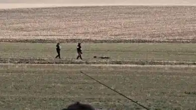 Apel la 112 după ce o dronă militară s-ar fi prăbușit la Robeasca