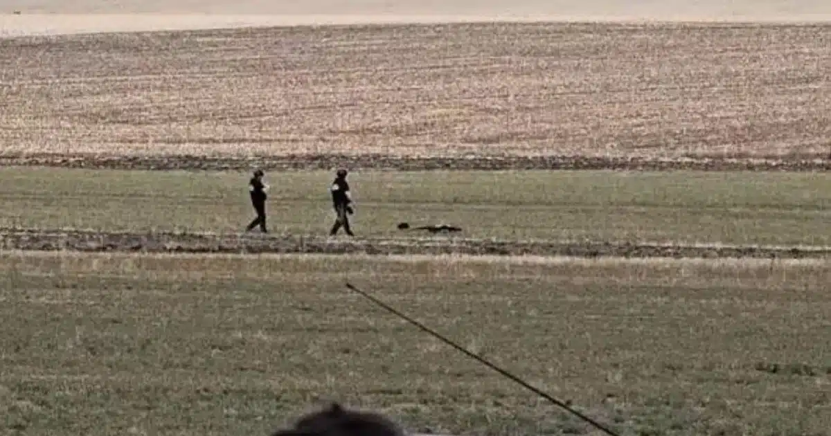 Apel la 112 după ce o dronă militară s-ar fi prăbușit la Robeasca