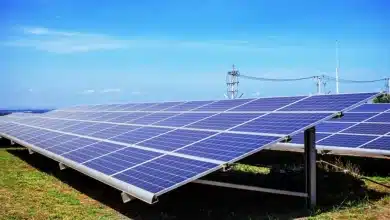 Controale la export pentru 12 tehnologii fotovoltaice chinezești: Europa riscă să rămână fără echipamente