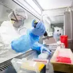 Experiment la MIT: inteligența artificială a identificat rapid patru agenți patogeni cu potențial pandemic