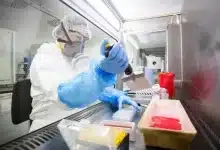 Experiment la MIT: inteligența artificială a identificat rapid patru agenți patogeni cu potențial pandemic