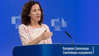 Mînzatu: inteligența artificială poate elimina locuri de muncă în Europa, inclusiv calificate