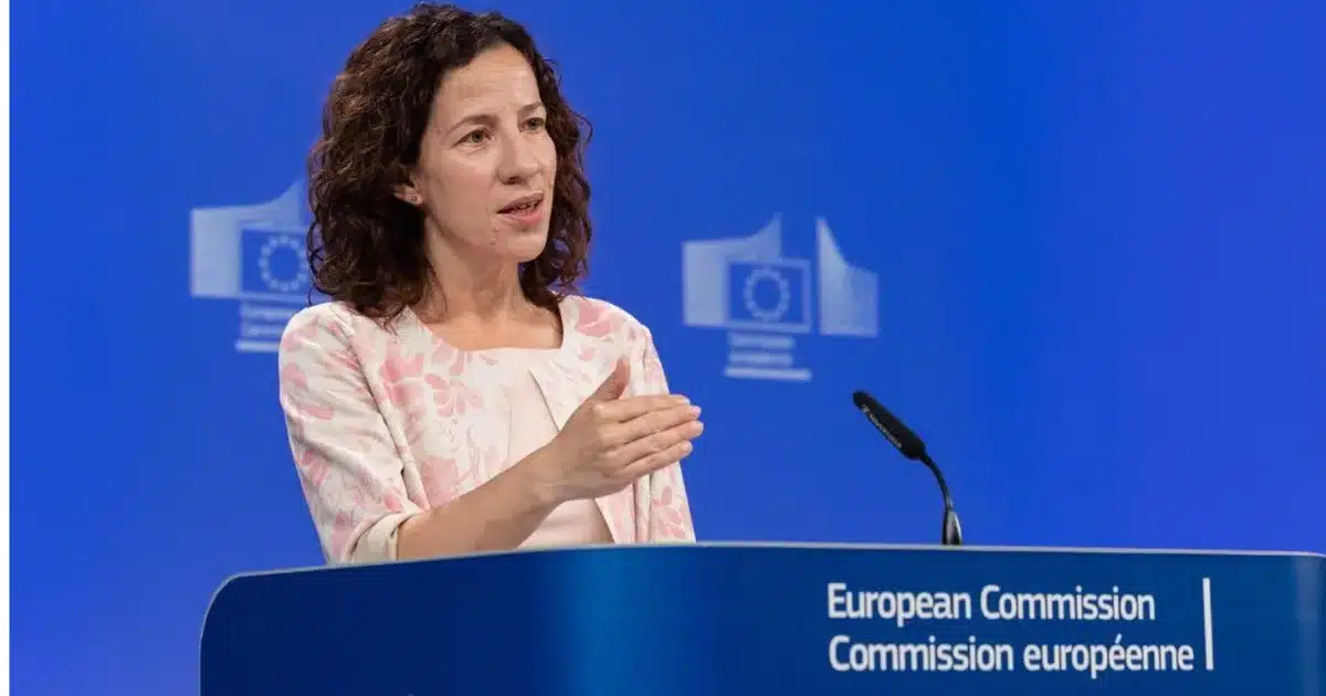 Mînzatu: inteligența artificială poate elimina locuri de muncă în Europa, inclusiv calificate